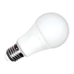 Foco LED 10W Luz Blanca Fría - B03W10