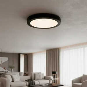 Luminaria de Techo LED 18W Luz Blanca Fría - TLD01W18